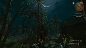 The Witcher 3 screenshots