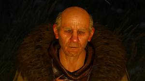 The Witcher 3 screenshots