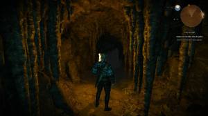 The Witcher 3 screenshots