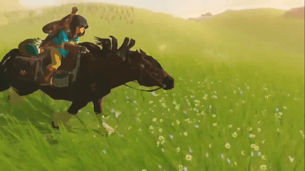 The-Legend-of-Zelda-par-Wii-U-2