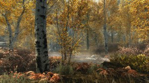skyrim special edition screens
